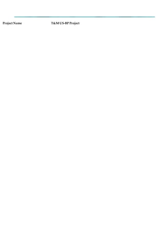 Project Name T&M US-BP Project
 