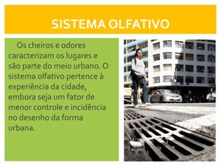 SISTEMA OLFATIVO
   Os cheiros e odores
caracterizam os lugares e
são parte do meio urbano. O
sistema olfativo pertence à
experiência da cidade,
embora seja um fator de
menor controle e incidência
no desenho da forma
urbana.
 