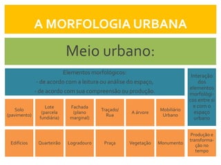 A MORFOLOGIA URBANA

                             Meio urbano:
                            Elementos morfológicos:
                                                                                Interação
              - de acordo com a leitura ou análise do espaço,                      dos
                                                                               elementos
              - de acordo com sua compreensão ou produção.                     morfológi-
                                                                               cos entre si
                  Lote        Fachada                                            e com o
    Solo                                  Traçado/                Mobiliário
                (parcela       (plano                 A árvore                   espaço
(pavimento)                                 Rua                    Urbano
               fundiária)     marginal)                                          urbano

                                                                               Produção e
                                                                               transforma-
 Edifícios     Quarteirão    Logradouro    Praça      Vegetação   Monumento
                                                                                  ção no
                                                                                  tempo
 
