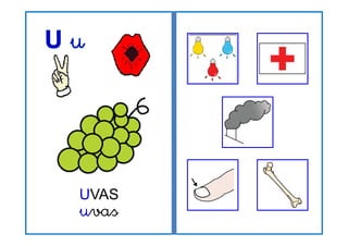 UVAS
uvas