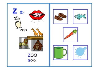 ZOO
zoo
