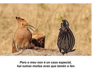 Pero o meu non é un caso especial,
hai outras moitas aves que tamén o fan.
 