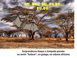 Sorprendeuse Roque a tempada pasada
ao sentir “bubear”, en galego, na sabana africana.
BU, BU… BU, BU BU…
BU,BU…
 