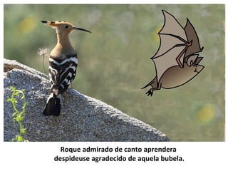 Roque admirado de canto aprendera
despideuse agradecido de aquela bubela.
 