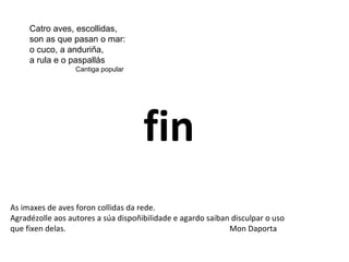 fin
As imaxes de aves foron collidas da rede.
Agradézolle aos autores a súa dispoñibilidade e agardo saiban disculpar o uso
que fixen delas. Mon Daporta
Catro aves, escollidas,
son as que pasan o mar:
o cuco, a anduriña,
a rula e o paspallás
Cantiga popular
 