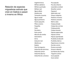 Cegoña branca
Miñato abelleiro
Miñato queimado
Miñato real
Águia albela
Gatafornela
Tartaraña cincenta
Águia caudal
Águia perdiceira
Falcón pequeño
Píllara areeira
Paspallás
Sisón
Pernileiro
Rula común
Moucho de orellas
Avenoiteira
Xirrio
Andurón real
Abellaruco
Bubela
Peto formigueiro
Anduriña das barreiras
Anduriña común
Anduriña dáurica
Anduriña do cu branco
Pica papuda
Pica das árbores
Lavandeira verdeal
Reiseñor común
Papoazul
Rabirrubio real
Chasco rabipinto
Pedreiro cincento
Pedreiro amarelo
Merlo rubio
Fulepa pintada
Fulepa dos carrizos
Fulepa grande
Fulepa amarela
Papuxa paporrubia
Papuxa común
Papuxa apardazada
Picafollas de Bonelli
Picafollas ibérico
Papamoscas cincento
Ouriolo común
Picanzo vermello
Picanzo rebordá
Escribanta das hortas
Trigueiro común
Cuco papudo
Cuco común
Relación de especies
migradoras estivais que
crian en Galicia e pasan
o inverno en África
 