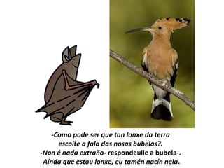 -Como pode ser que tan lonxe da terra
escoite a fala das nosas bubelas?.
-Non é nada extraño- respondeulle a bubela-.
Aínda que estou lonxe, eu tamén nacín nela.
 