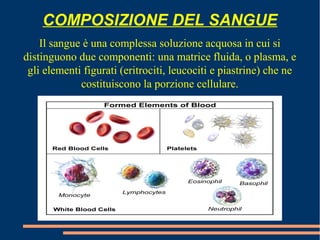 COMPOSIZIONE DEL SANGUE
Il sangue è una complessa soluzione acquosa in cui si
distinguono due componenti: una matrice fluida, o plasma, e
gli elementi figurati (eritrociti, leucociti e piastrine) che ne
costituiscono la porzione cellulare.
 