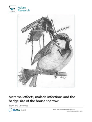 Birget and Larcombe ﻿Avian Res (2015) 6:22
DOI 10.1186/s40657-015-0029-7
Maternal effects, malaria infections and the
badge size of the house sparrow
Birget and Larcombe ﻿
 