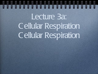 Lecture 3a: Cellular Respiration Cellular Respiration 