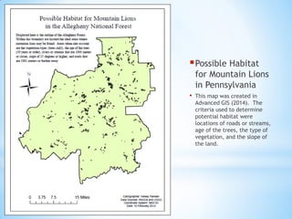 Possible Habitat
for Mountain Lions
in Pennsylvania
• This map was created in
Advanced GIS (2014). The
criteria used to determine
potential habitat were
locations of roads or streams,
age of the trees, the type of
vegetation, and the slope of
the land.
 