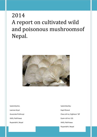 2014
A report on cultivated wild
and poisonous mushroomsof
Nepal.
Submittedto:
LaxmanAryal
Associate Professor
IAAS,Paklihawa
Rupandehi,Nepal
Submittedby:
Kapil Khanal
Classroll no: Eighteen‘18’
Exam roll no:131
IAAS,Paklihawa
Rupandehi,Nepal
 
