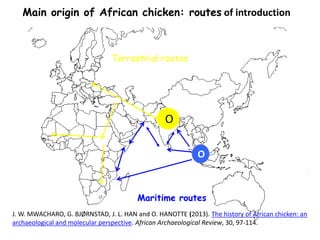 Chicken phenoypic and genetic diversity: Where does it come from  
