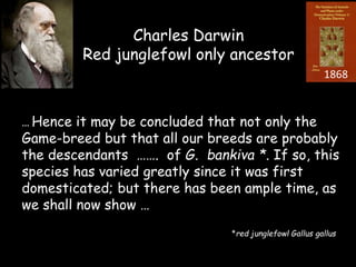 Chicken phenoypic and genetic diversity: Where does it come from  