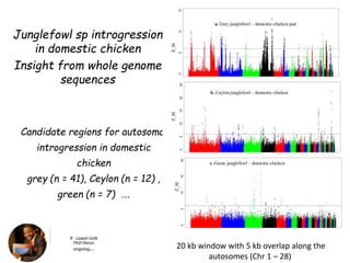 Chicken phenoypic and genetic diversity: Where does it come from  