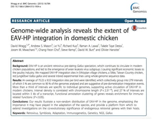 Chicken phenoypic and genetic diversity: Where does it come from  