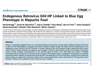 Chicken phenoypic and genetic diversity: Where does it come from  