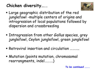 Chicken phenoypic and genetic diversity: Where does it come from  
