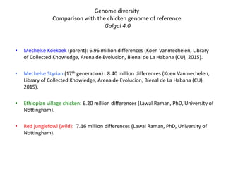 Chicken phenoypic and genetic diversity: Where does it come from  