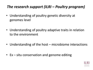 The chicken of the future: Options from breeding and research