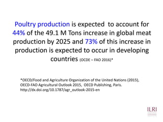 The chicken of the future: Options from breeding and research