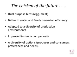 The chicken of the future: Options from breeding and research