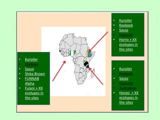 The chicken of the future: Options from breeding and research