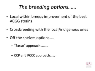 The chicken of the future: Options from breeding and research