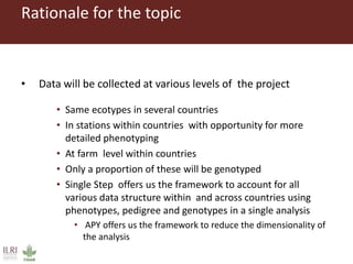 Genomic selection with weighted GBLUP and APY single step