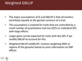 Genomic selection with weighted GBLUP and APY single step