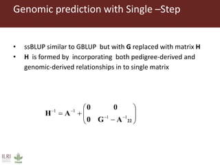 Genomic selection with weighted GBLUP and APY single step