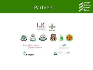 Facilitating partnerships and institutional engagements in the ACGG project: An Overview