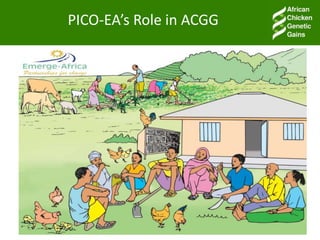 Facilitating partnerships and institutional engagements in the ACGG project: An Overview