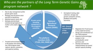 • Negotiate the IP and access
to the preferred strains;
• Design and coordination of
the LTGG program;
• Capacity assessment/gap
analysis in the
private/public sector
partners; and
• Develop and lead the
implementation of context
specific capacity building
Who are the partners of the Long Term Genetic Gains
program network ?
National
Agricultural
Research
System (NARS)
The platform
members (ILRI,
CTLGH, WU, NARS etc)
Private sector
breeding
companies in
the program
countries
ILRI –Overall
coordination
of the
program
• Day-to-day management of the
genetic gains work;
• Multiply and sell parent stock
and GPS to hatcheries;
• Maintain parent stock; and
• Multiply and distribute
commercial germplasms to
mother units and/or farmers at
scale.
• Germplasm testing, data
collection, storage and
genetic evaluation of lines,
feedback and quality
assurance.
• Provide technical backstopping
in the design and setting up of
the LTGG program-data
capture, genetic evaluation,
and capacity building
 