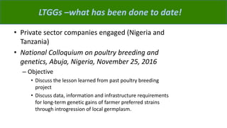 ACGG: A platform for testing, delivering, and continuously improving tropically-adapted chickens for productivity growth in sub-Saharan Africa