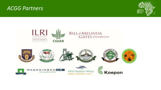 ACGG: A platform for testing, delivering, and continuously improving tropically-adapted chickens for productivity growth in sub-Saharan Africa