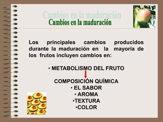 Los    principales   cambios    producidos
durante la maduración en la mayoría de
los frutos incluyen cambios en:

       • METABOLISMO DEL FRUTO

         COMPOSICIÓN QUÍMICA
             • EL SABOR
               • AROMA
              •TEXTURA
                •COLOR
 