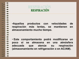•Aquellos productos con velocidades         de
respiración más lentas, se mantienen        en
almacenamiento mucho tiempo.


• Este comportamiento podrá modificarse un
poco si se almacena en una atmósfera
adecuada    que    atenúe     su    respiración
(almacenamiento en refrigeración o en AC/AM).
 