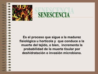 Es el proceso que sigue a la madurez
fisiológica u hortícola y que conduce a la
  muerte del tejido, o bien, incrementa la
   probabilidad de la muerte tisular por
  deshidratación o invasión microbiana.
 