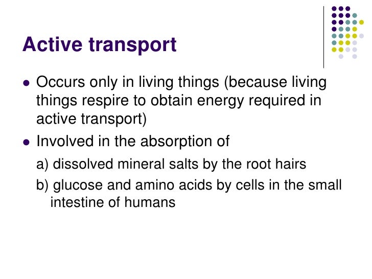 Chapter 3 Movement of Substances Lesson 3 Active