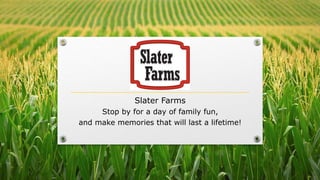 Slater Farms
Stop by for a day of family fun,
and make memories that will last a lifetime!
 