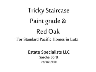 Tricky Staircase
Paint grade &
Red Oak
For Standard Pacific Homes in Lutz
Estate Specialists LLC
Sascha Bortt
727 871 9800
 