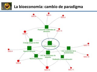 La institucionalidad de la bioeconomía en América Latina