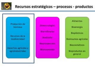 La institucionalidad de la bioeconomía en América Latina
