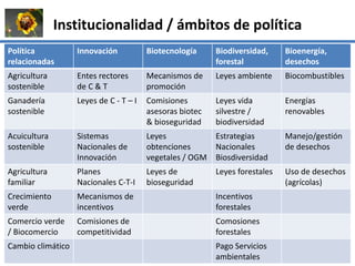 La institucionalidad de la bioeconomía en América Latina
