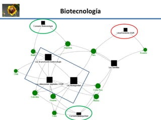 La institucionalidad de la bioeconomía en América Latina