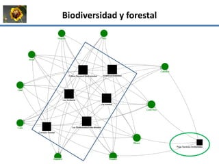 La institucionalidad de la bioeconomía en América Latina