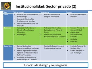 La institucionalidad de la bioeconomía en América Latina