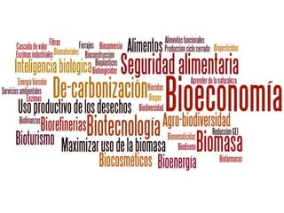 La institucionalidad de la bioeconomía en América Latina
