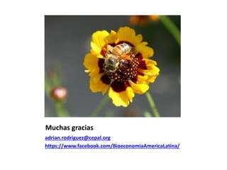 La institucionalidad de la bioeconomía en América Latina